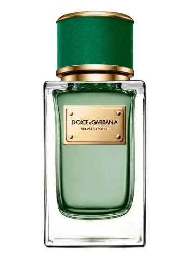 Dolce & Gabbana voor dames 